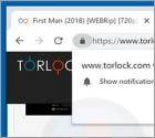 Torlock.com POP-UP Suspicious Website