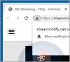 Streamnotify.net Ads