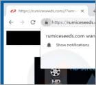 Rumiceseeds.com Ads