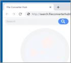 File Converter Hub Browser Hijacker
