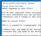 encryptedRSA Ransomware