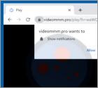 Videommm.pro Ads