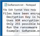 GoRansom PoC Ransomware