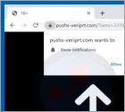 Pushs-veriprt.com Ads