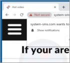 System-sms.com Ads