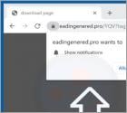 Eadingenered.pro Ads