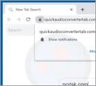 Quick Audio Converter Browser Hijacker