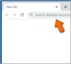 Website Security Checker Browser Hijacker