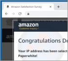 Congratulations Dear Amazon Customer POP-UP Scam