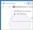 Adtrafficjam.com Ads