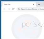 Auto Purge Browser Hijacker