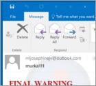 Final Warning Email Scam