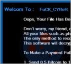 Cyborg Builder Ransomware