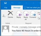 You Have 46 Hours In Order To Make The Payment Email Scam
