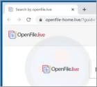 Search By OpenFile Browser Hjacker