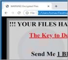 R44s Ransomware