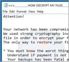 Protect (Hydra) Ransomware