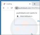 Pushisback.com Ads