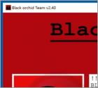 BlackOrchid Ransomware