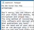 Mzlq Ransomware