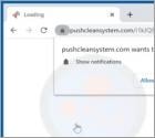 Pushcleansystem.com Ads