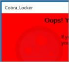 Cobra Locker Ransomware