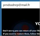 Prnds Ransomware