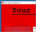 FlyBox Ransomware