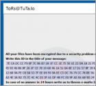 [TorS@Tuta.Io] Ransomware