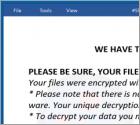 SNT2 Ransomware