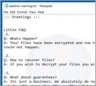 Zes Ransomware