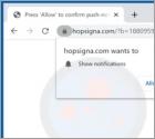 Hopsigna.com Ads