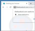 Thefaceduck.com Ads