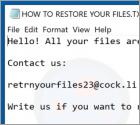 Hhmgzyl Ransomware