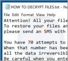 BD Ransomware