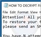 Nigger Ransomware