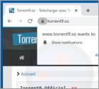 Torrent9.so Suspicious Website