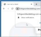 Thgworldwideblog.com Ads