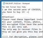 DEcovid19bot Ransomware