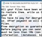 Maxi Ransomware