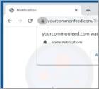 Yourcommonfeed.com Ads