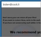 Biden Ransomware