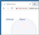 Wallet Secure POP-UP Scam
