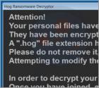 Hog Ransomware