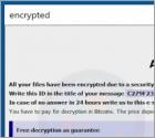 Amber (Phobos) Ransomware