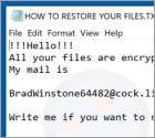 Ujvxadjxkoz Ransomware