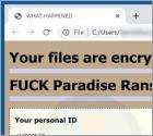 HENRI IV Ransomware