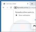 Flymedia Ads