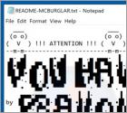 Mcburglar Ransomware