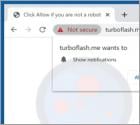 Turboflash.me Ads